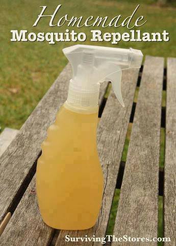 Homemade Mosquito Repellent